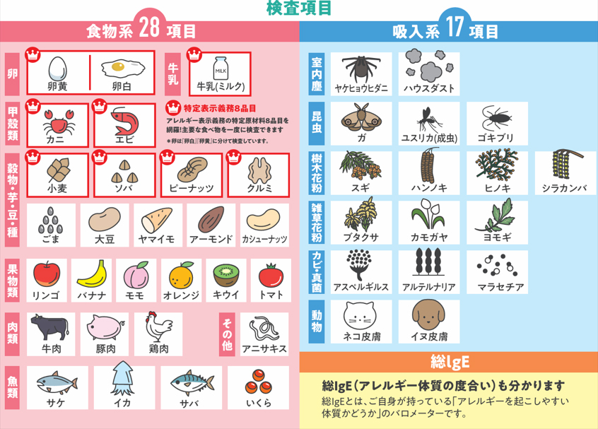 検査項目一覧